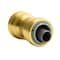 Quickfitting 1/2in Push-to-Connect x 1/2in Push-to-Connect Brass Polybutylene Transition Coupling Fitting LF811PBYR - alternate 1